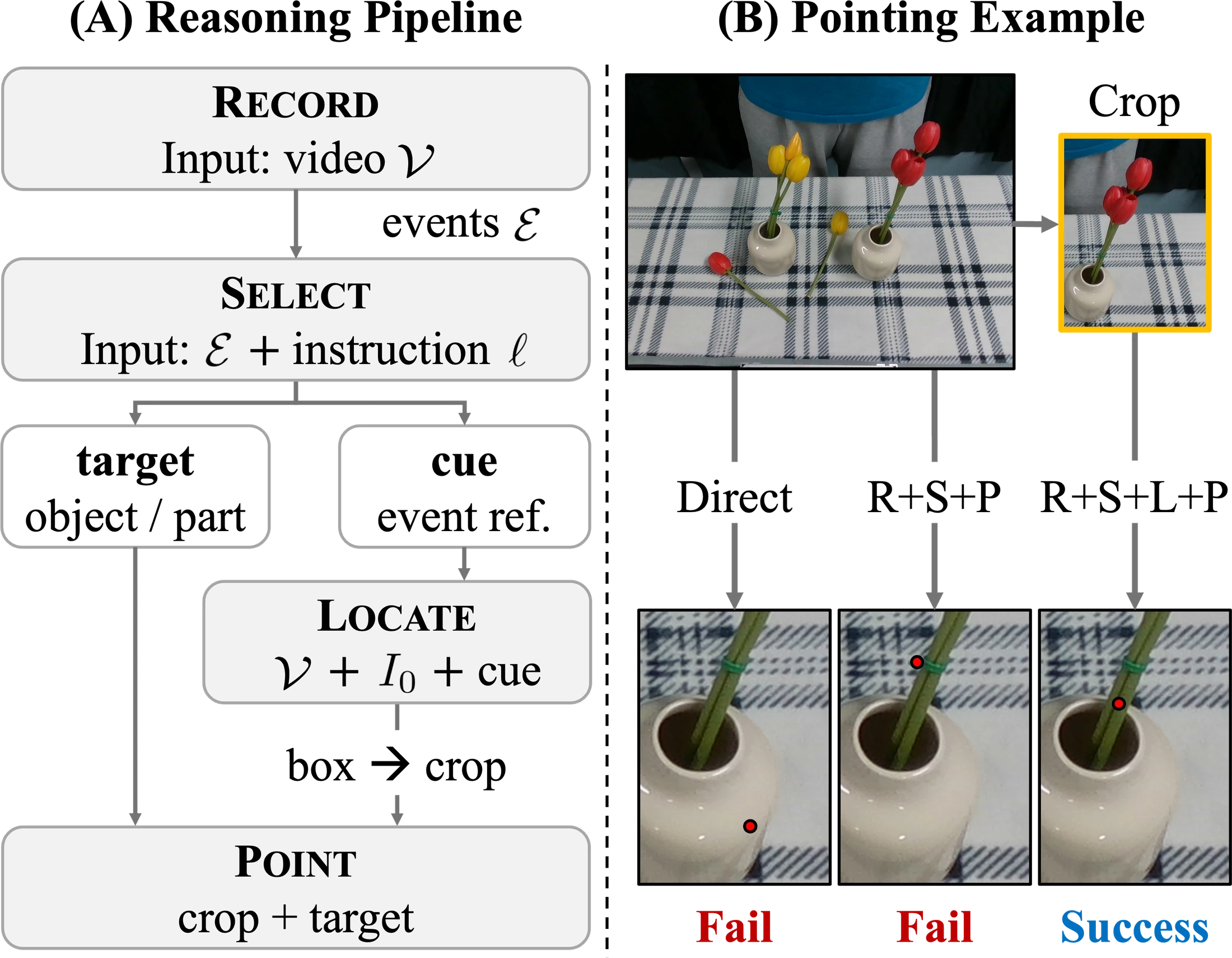 Video reasoning pipeline (Record, Select, Locate, Point) and a pointing example where crop-based pointing succeeds on a small flower stem while direct and full-image pointing fail.